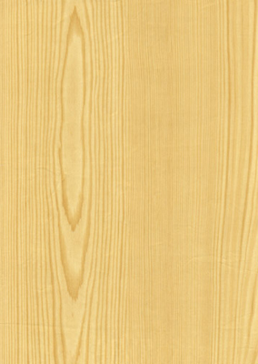 Wood Grain Decorative Paper/Melamine Paper/PVC/PETG Film- Pine