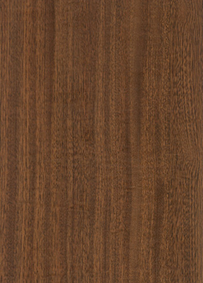 Wood Grain Decorative Paper/Melamine Paper/PVC/PETG Film- Acacia