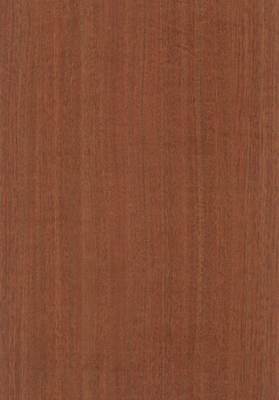 Wood Grain Decorative Paper/Melamine Paper/PVC/PETG Film- Acacia