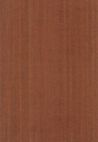 Wood Grain Decorative Paper/Melamine Paper/PVC/PETG Film- Acacia