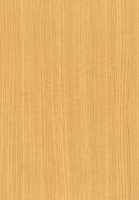 Wood Grain Decorative Paper/Melamine Paper/PVC/PETG Film- Ash