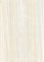 Wood Grain Decorative Paper/Melamine Paper/PVC/PETG Film- Ash