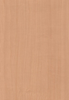 Wood Grain Decorative Paper/Melamine Paper/PVC/PETG Film- Ash