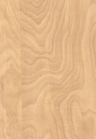 Wood Grain Decorative Paper/Melamine Paper/PVC/PETG Film- Elm