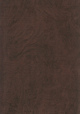 Wood Grain Decorative Paper/Melamine Paper/PVC/PETG Film- Birch