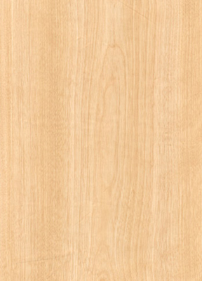 Wood Grain Decorative Paper/Melamine Paper/PVC/PETG Film- Birch