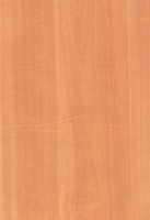 Wood Grain Decorative Paper/Melamine Paper/PVC/PETG Film- Birch