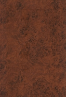 Wood Grain Decorative Paper/Melamine Paper/PVC/PETG Film- Rustic Burl