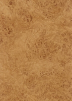 Wood Grain Decorative Paper/Melamine Paper/PVC/PETG Film- Rustic Burl