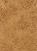 Wood Grain Decorative Paper/Melamine Paper/PVC/PETG Film- Rustic Burl