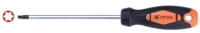 Torx Screwdriver