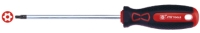 Torx Screwdriver