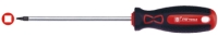 Robertson Screwdriver