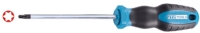 Torx Screwdriver