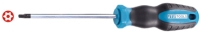 Torx Screwdriver 
With Hole