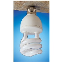 Energy-saving, Long Life Compact Fluorescent Lamps