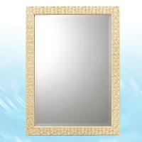 Framed Mirror