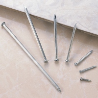 Grooved Steel Nails/Steel concrete nail