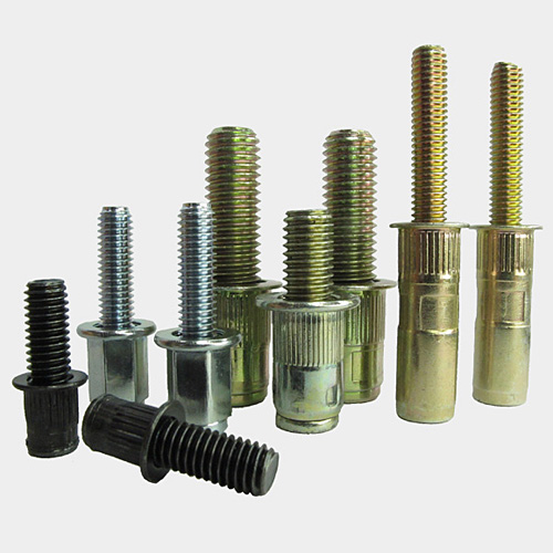 Bolt Rivet Nut