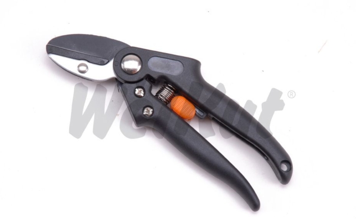 PRUNER SHEAR