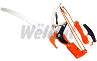 BRANCH PRUNER
