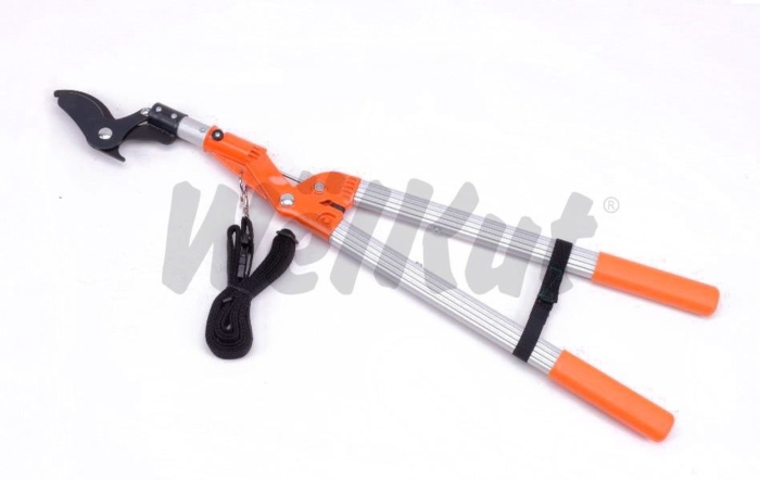 BRANCH PRUNER BRANCH PRUNER