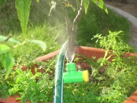 Mist Mist
