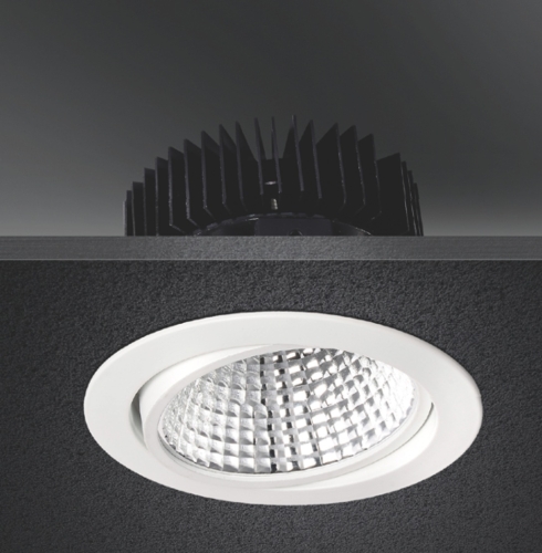 LED DOWN LIGHT-COB TYPE