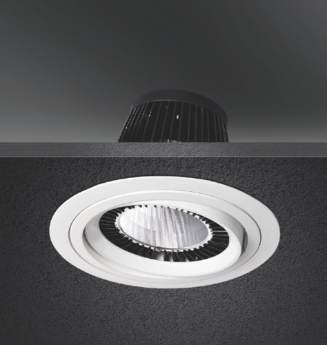 LED DOWN LIGHT-COB TYPE