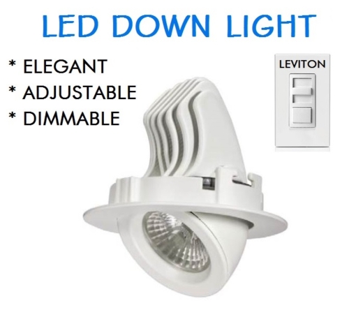 LED RECESSED DOWNLIGHT LED RECESSED DOWNLIGHT