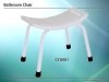 Bathroom Chair