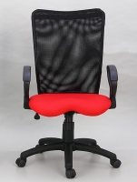 Executive mesh chair
