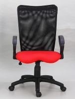 Executive mesh chair 