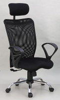 Executive mesh chair 