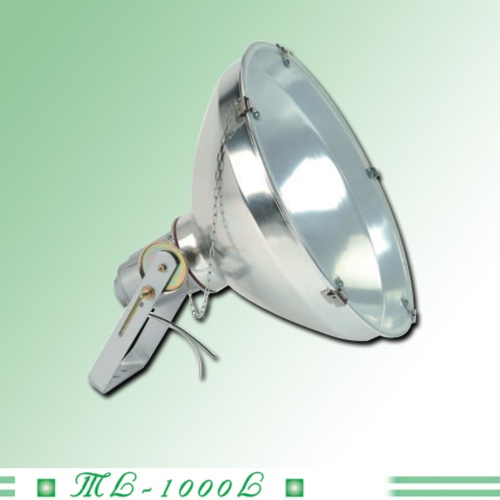 Outdoor Spotlights