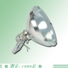 Outdoor Spotlights