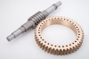 Worm and Worm Gear