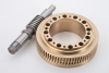 Worm & Worm Gear