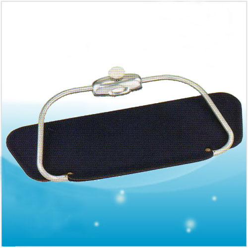 Sun Visor