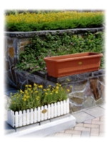 Rectangular box planters