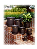 Plastic Planters