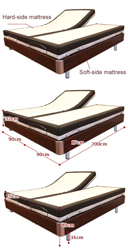 Simplicity style Electric Bed (Double) GM07D