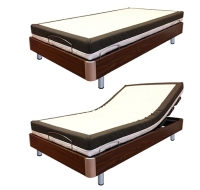 Simplicity Style Electric Bed GM07S