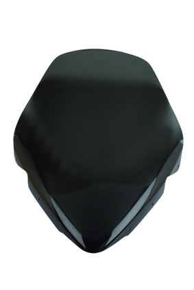Windshield