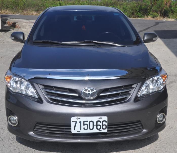 Chrome Bug Shield, Hood Guard,Bonnet Guard, Hood protector Chrome Bug Shield, Hood Guard,Bonnet Guard, Hood protector