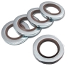 Bonded seal
