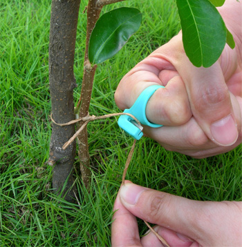 Garden Knife Ring