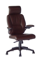 Designer Leather Office Chairs