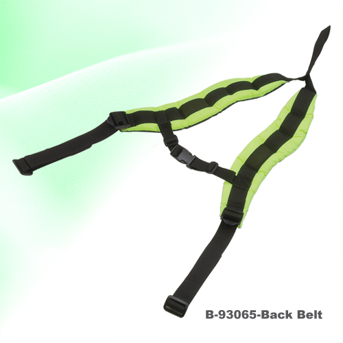 Back  Belt Back  Belt