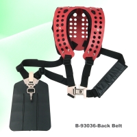 Back Belt